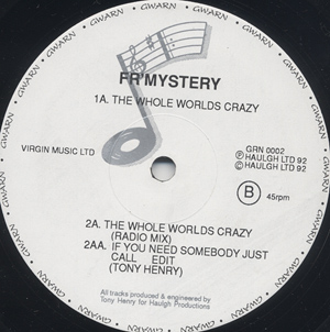 FR Mystery - The Whole Worlds Crazy