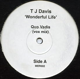 TJ Davis - Wonderful Life