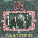 Mr Big - Green Tinted Sixties Mind