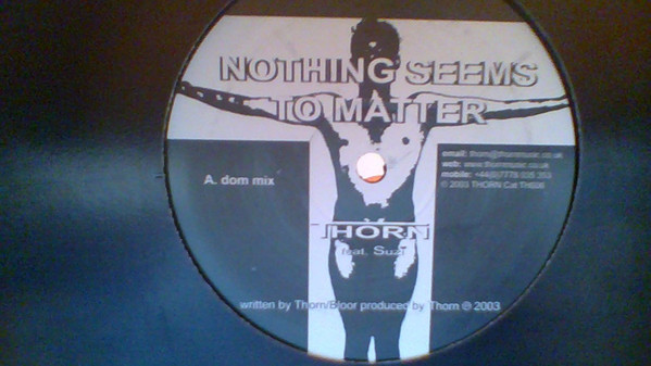 Thorn Featuring Suzi - Nothing Seems To Matter