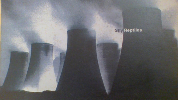 Shy Reptiles - High Desire
