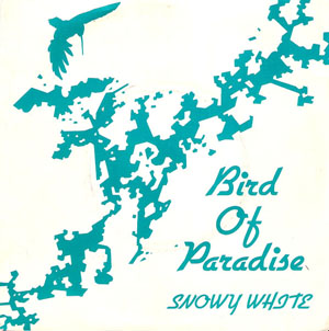 Snowy White - Bird Of Paradise