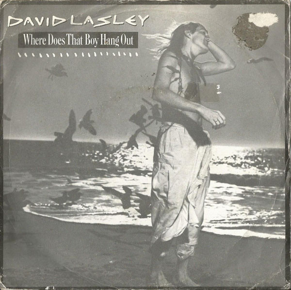 David Lasley - Where Does That Boy Hang Out