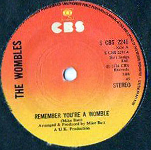 Wombles The - Remember Youre A Womble