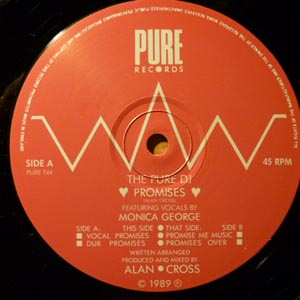 Pure DJ The Featuring Vocals By Monica George - Promises