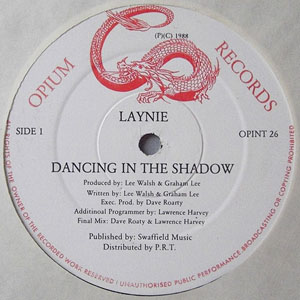 Laynie - Dancing In The Shadow