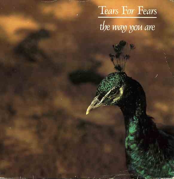 Tears For Fears - The Way You Are