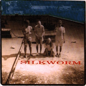 Silkworm - VioletAround A Light