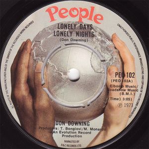 Don Downing - Lonely Days Lonely Nights