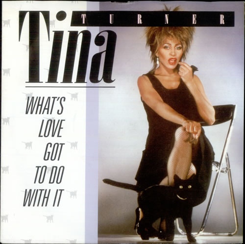 Tina Turner - Whats Love Got To Do With It