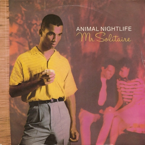 Animal Nightlife - Mr Solitaire