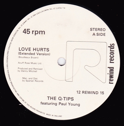 The QTips Featuring Paul Young  - Love Hurts