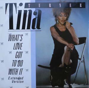 TINA TURNER - WHATS LOVE GOT TO DO WITH IT