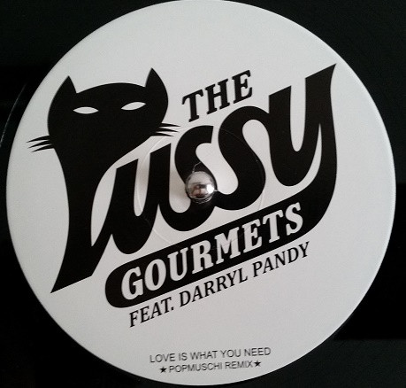 The Pussy Gourmets Feat Darryl Pandy - Love Is What You Need