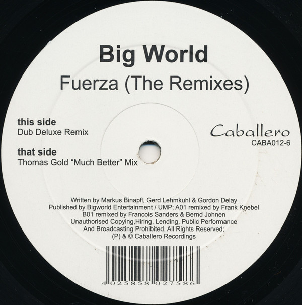 Big World - Fuerza The Remixes
