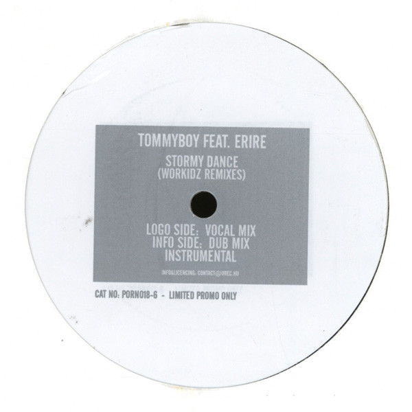  Tommyboy  Sultan Feat Zara - Stormy Dance Workidz Remixes