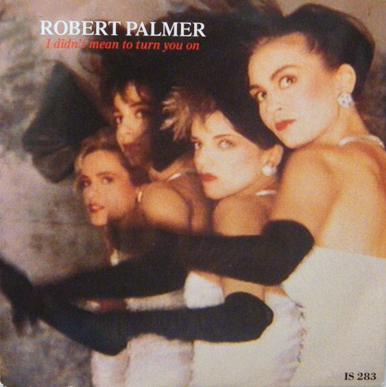 Robert Palmer  - I Didnt Mean To Turn You On