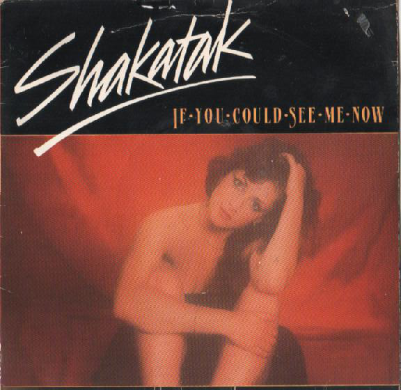 Shakatak - If You Could See Me Now