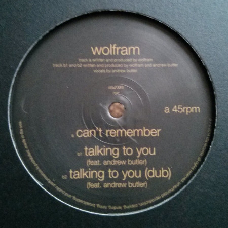 Wolfram - Cant Remember  Talking To You