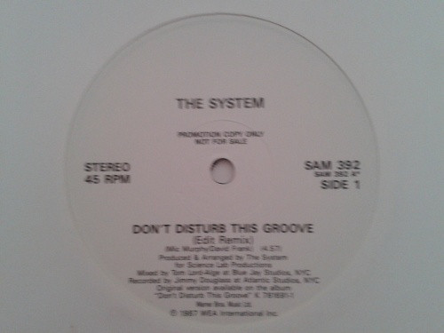 The System - Dont Disturb This Groove