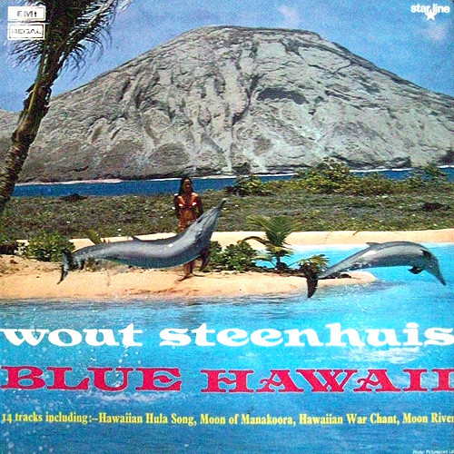 Wout Steenhuis - Blue Hawaii