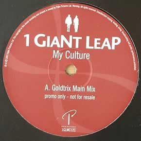 1 GIANT LEAP - MY CULTURE