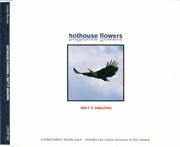 Hothouse Flowers - Isnt It Amazing