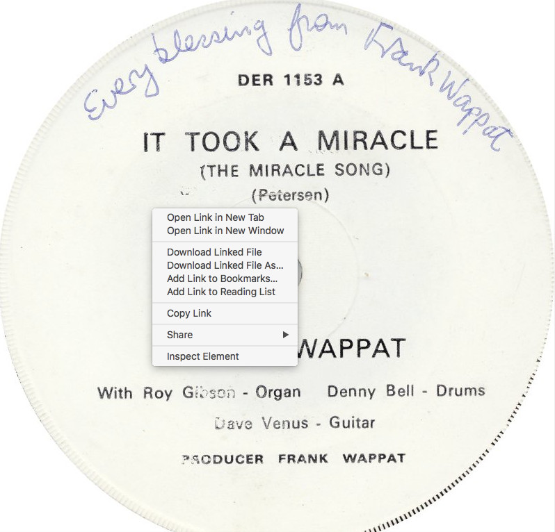 Frank Wappat Cathy Wilkin - It Took A Miracle  Songs For Singing