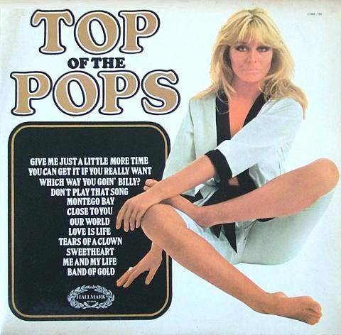 Unknown Artist - Top Of The Pops Vol13