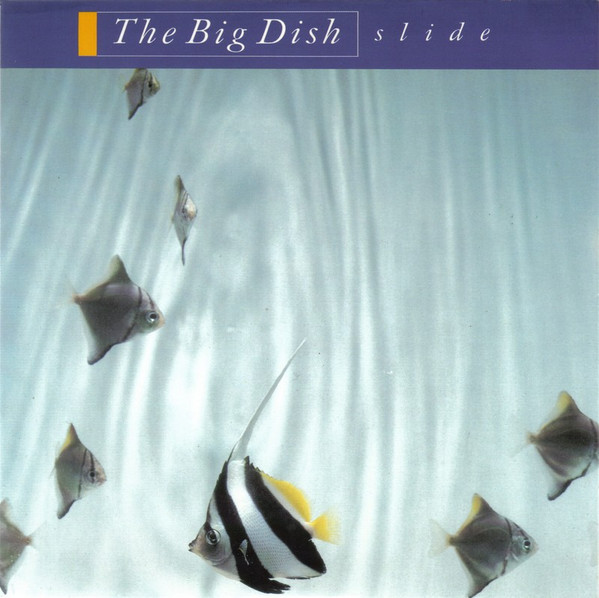 The Big Dish - Slide