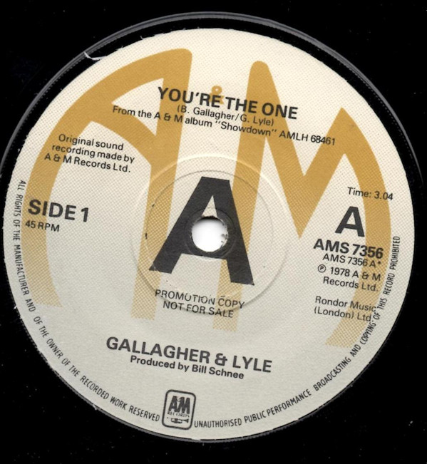 Gallagher  Lyle - Youre The One  Backstage