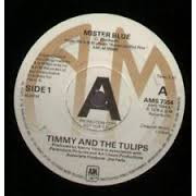 Timmy And The Tulips  The Chesterfields - Mr Blue  Why Do Fools Fall In Love