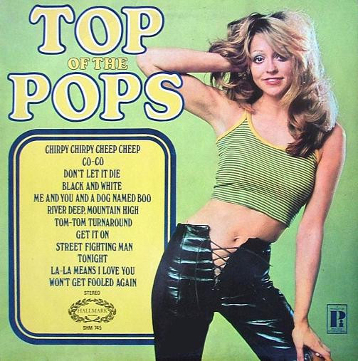 Unknown Artist - Top Of The Pops Vol 18