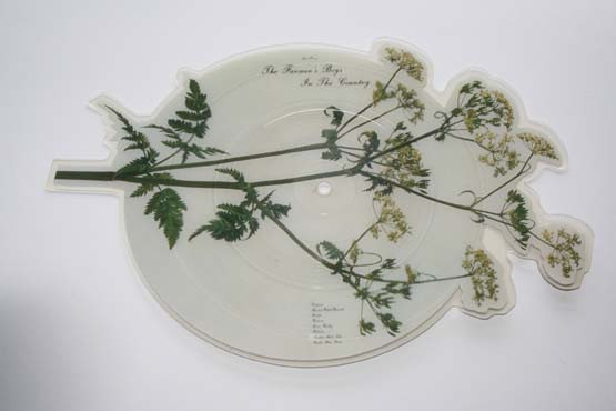 The Farmers Boys - In The Country Picture Disc
