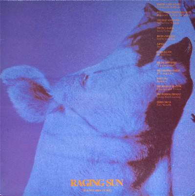 Various - Raging Sun