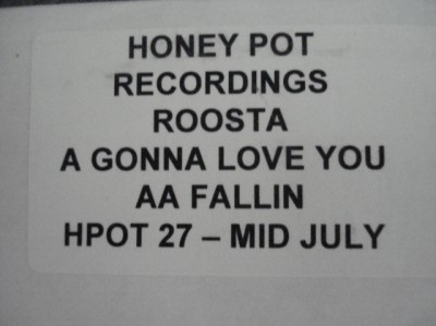 Roosta - Gonna Love You  Fallin