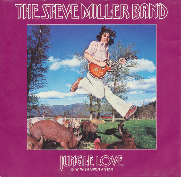 The Steve Miller Band - Jungle Love