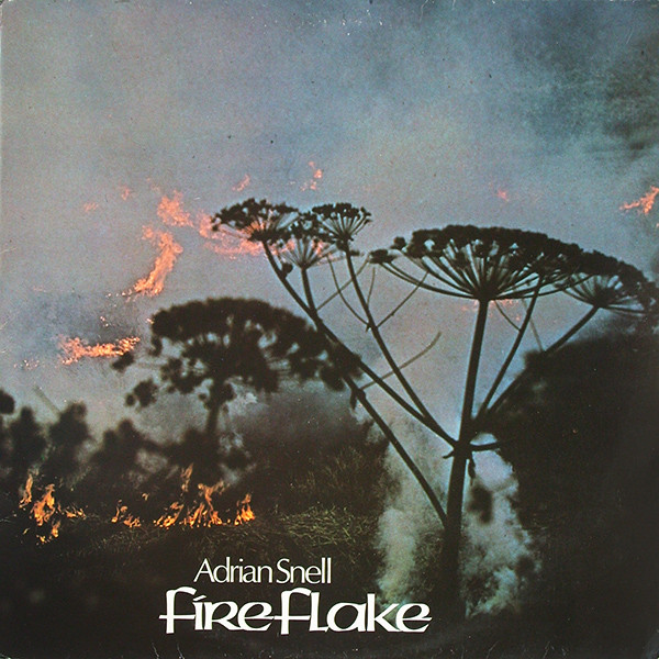 Adrian Snell - FireFlake