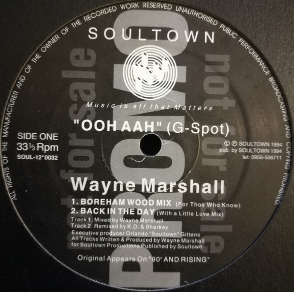 Wayne Marshall - Ooh Aah GSpot