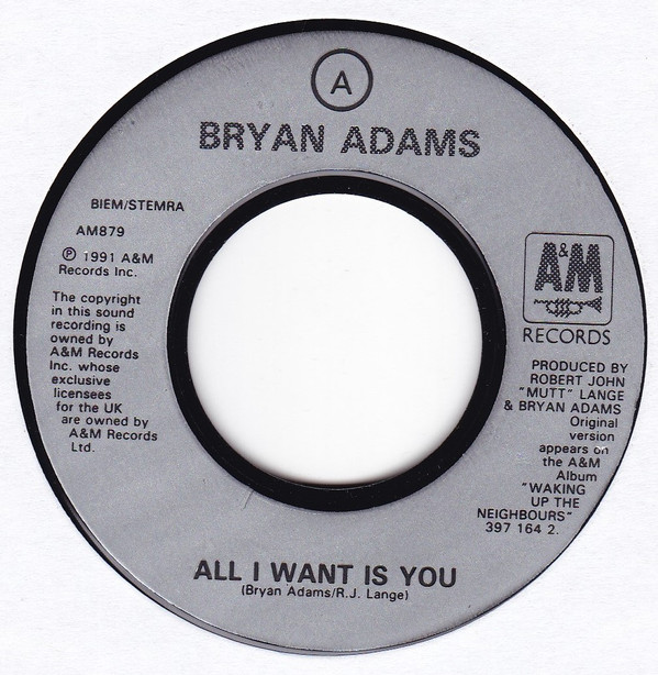 Bryan Adams - All I Want Is You