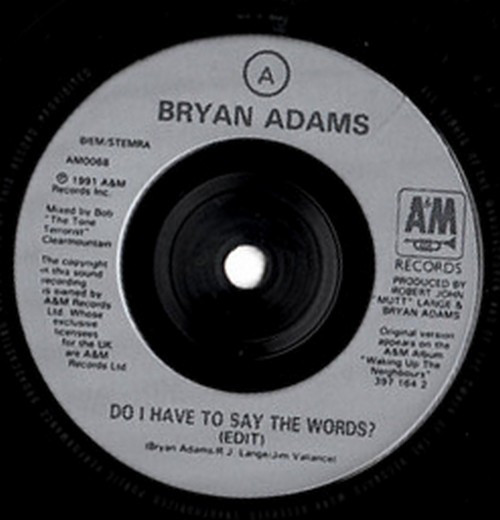 Bryan Adams - Do I Have To Say The Words