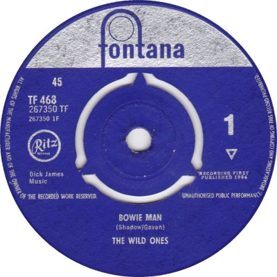 The Wild Ones - Bowie Man
