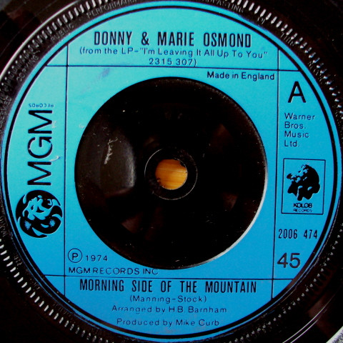 Donny  Marie Osmond -  Morning Side Of The Mountain
