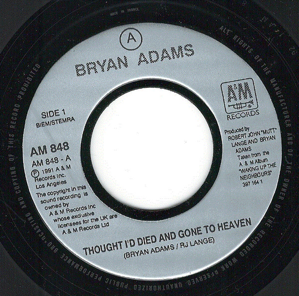 Bryan Adams - Thought Id Died And Gone To Heaven