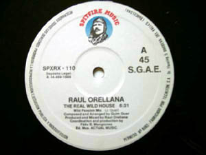 Raul Orellana - The Real Wild House  The Remixes